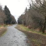 Kat Bryant | The Daily World                                After the unpacking was mostly done, the skies cleared and I took Rose for our first walk on the Bob Basich Trailway, which starts about a half-mile from my place.