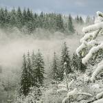 YOUR SHOT WINTER WONDERLAND