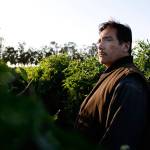 ABC&rsquo;s &ldquo;American Crime&rdquo; stars Benito Martinez as Luis Salazar. (Nicole Wilder/ABC)