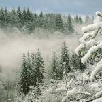 YOUR SHOT WINTER WONDERLAND