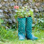 KAREN ARNOLD PHOTO                                &ldquo;Small-Space Gardening&rdquo; is the the theme of the &ldquo;1st Saturday&rdquo; class April 1.