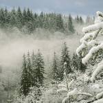 LINDA SMITH PHOTO