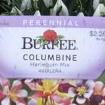 Seed packets will tell you everything you need to know for successful planting; you just need to know how to read them. (Photo by Pamela Burck)