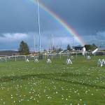 Egg hunt under the rainbow