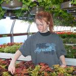 Aberdeen, Elma FFA chapters announce plant sales