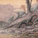 This artist&rsquo;s impression shows depicts a Teleocrater rhadinus feasting on a deep relative of mammals, Cynognathus. The large dicynodont Dolichuranus is seen in the background. (Mark Witton/Natural History Museum of London)