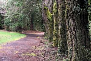 Making Tracks: In search of the perfect spot for a daily walk