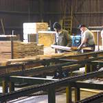 Monte mill brings back 29 jobs, forecasts more