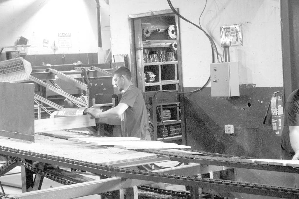 Monte mill brings back 29 jobs, forecasts more