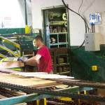 Monte mill brings back 29 jobs, forecasts more