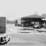 Monte mill brings back 29 jobs, forecasts more