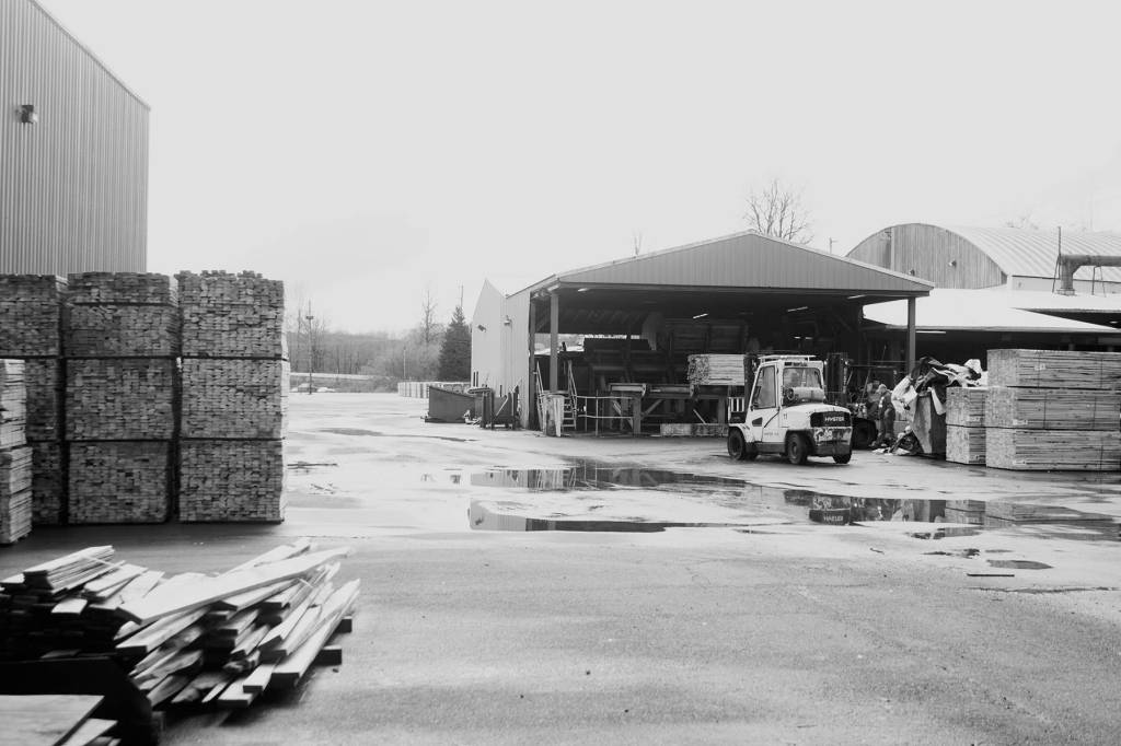 Monte mill brings back 29 jobs, forecasts more