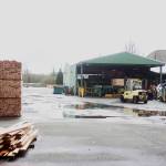 Monte mill brings back 29 jobs, forecasts more