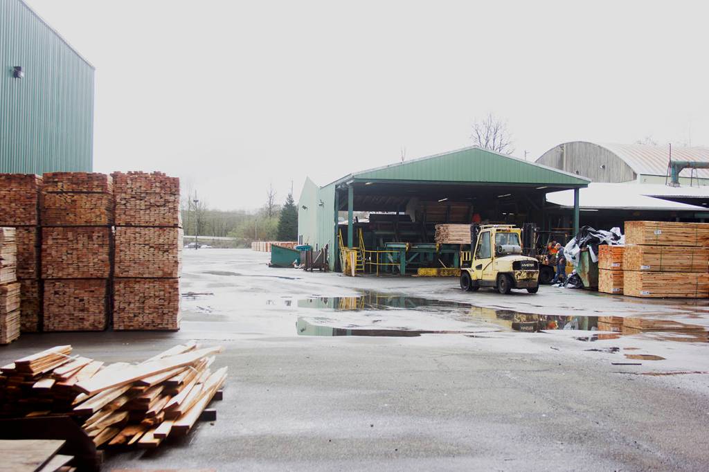 Monte mill brings back 29 jobs, forecasts more