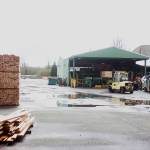 Monte mill brings back 29 jobs, forecasts more