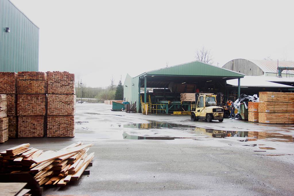 Monte mill brings back 29 jobs, forecasts more