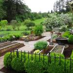 Master Gardener: Designing a sustainable landscape