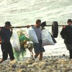 Voices: Pitch in on April 29 with Coast Cleanup