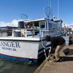 Gray area: Whale-watching can be hit or miss