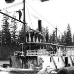 The sternwheeler Josie Burrows was one of several in the early part of the last century that ran regular routes from Montesano to Aberdeen and Hoquiam, and on to Westport and Oyehut. The Jessie Burrows was built in 1893 and fitted with machinery from the retired sternwheeler Aberdeen by C.E. Burrows who operated the City Dock at the foot of F Street. He named the good ship after his young daughter who passed away in 1894 at the age of 6. (Roy Vataja Collection)                                The sternwheeler Josie Burrows was one of several in the early part of the last century that ran regular routes from Montesano to Aberdeen and Hoquiam, and on to Westport and Oyehut. The Jessie Burrows was built in 1893 and fitted with machinery from the retired sternwheeler Aberdeen by C.E. Burrows who operated the City Dock at the foot of F Street. He named the good ship after his young daughter who passed away in 1894 at the age of 6. (Roy Vataja Collection)