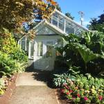 Master Gardener: Choosing specimen plants for maritime gardens