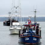 Photos by Kat Bryant | The Daily World                                 The Sea Scouts&rsquo; river tug, Lisa, was right behind the Coast Guard vessel in the Parade of Boats.
