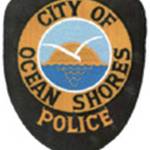 Dog attacks horses on the beach