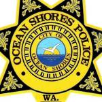 Dog attacks horses on the beach