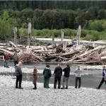 QUINAULT INDIAN NATION PHOTO                                The Quinault Indian Nation is offering a tour June 22 of its salmon habitat-restoration projects along the Queets and Quinault rivers.