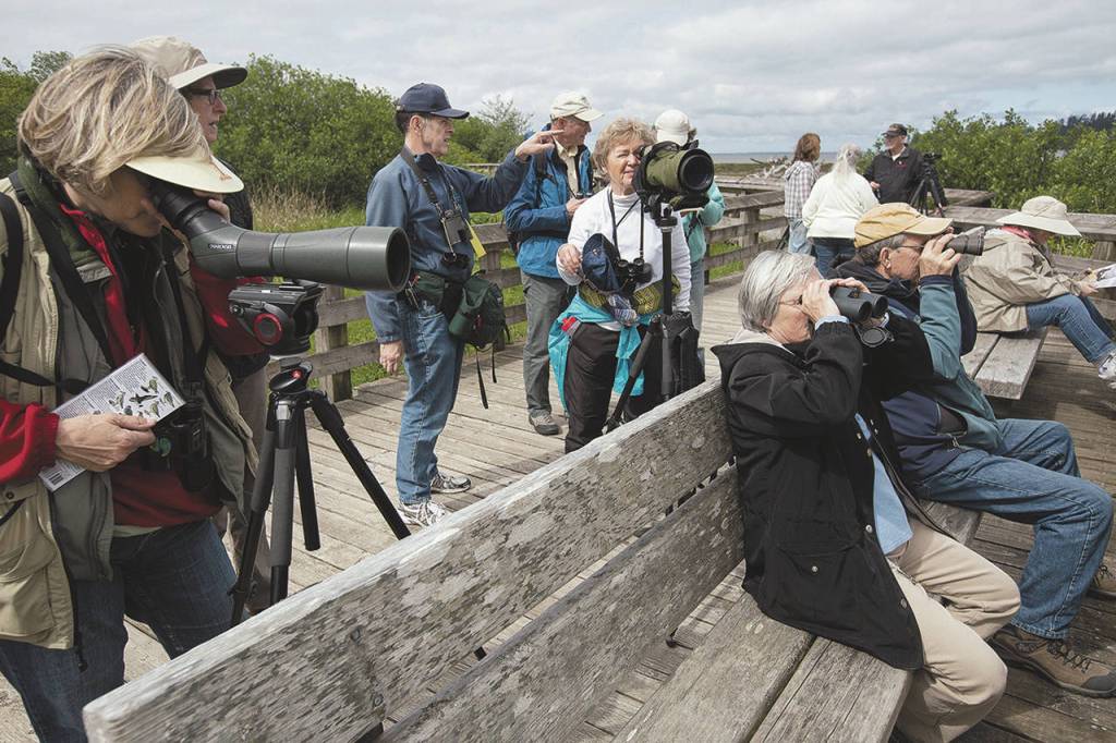 File photo                                Birdwatchers participate in a guided tour along the Grays Harbor National Wildlife Refuge boardwalk.