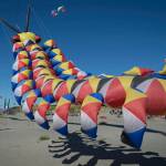 Festival of Colors features new attractions, staging area