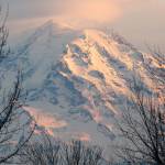 Mount Rainier at dusk. Interior Secretary Ryan Zinke says he&rsquo;ll ease the impact of potentially huge National Park Service budget cuts by shifting more resources to the &ldquo;front line,&rdquo; but offers little detail. (Ellen M. Banner/Seattle Times)