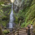 Steve Ringman | Seattle Times                                 Marymere Falls at Olympic National Park is an easy walk from Lake Crescent Lodge, through towering forest.