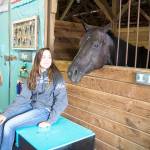 Fair sets an attendance record