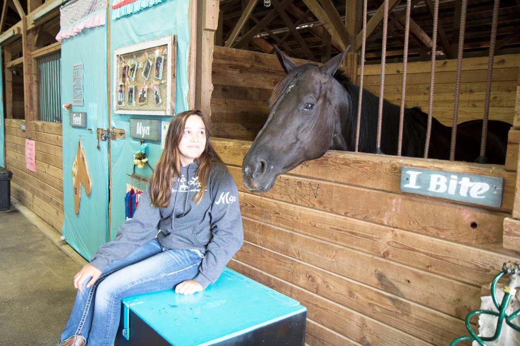 Fair sets an attendance record