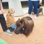 Fair sets an attendance record
