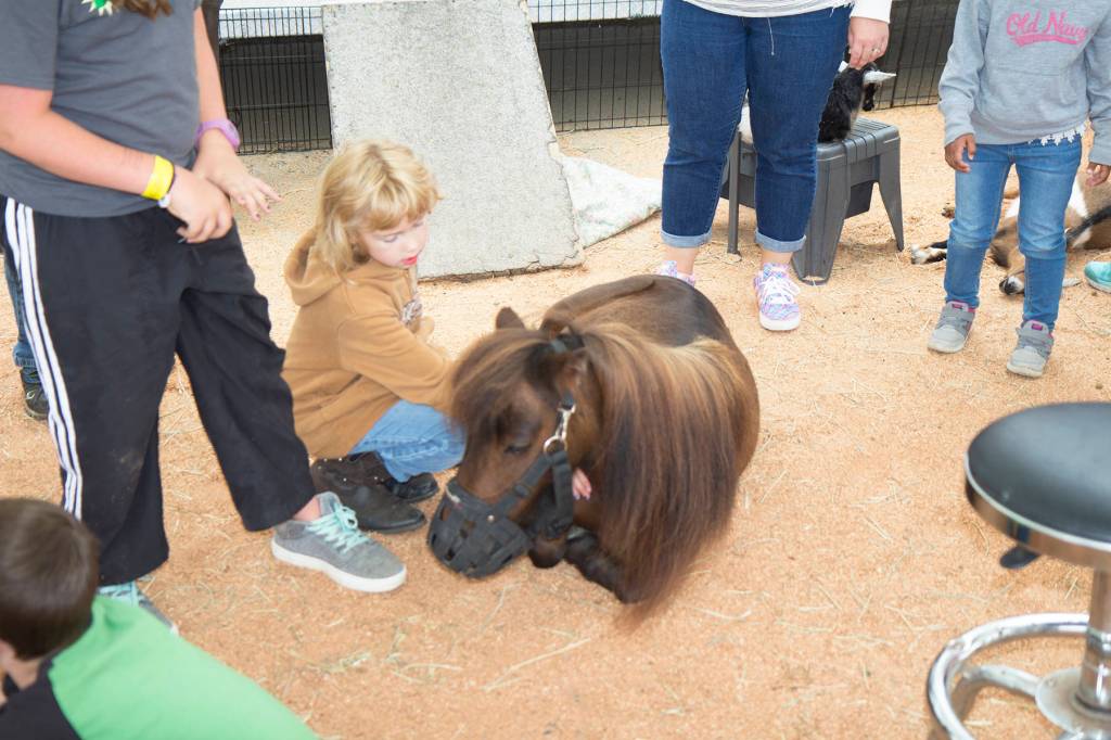 Fair sets an attendance record