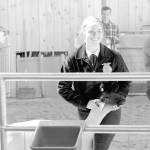 Fair sets an attendance record