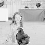 Fair sets an attendance record