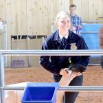 Fair sets an attendance record