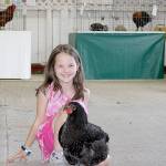 Fair sets an attendance record
