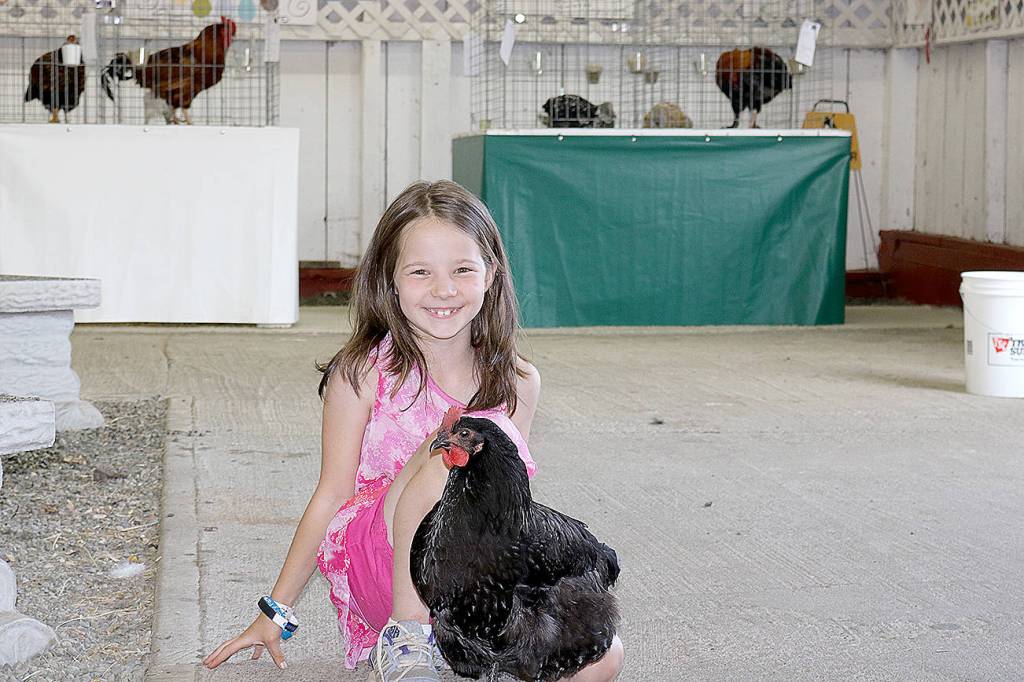 Fair sets an attendance record