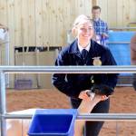 Fair sets an attendance record