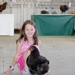 Fair sets an attendance record