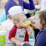Fair sets an attendance record