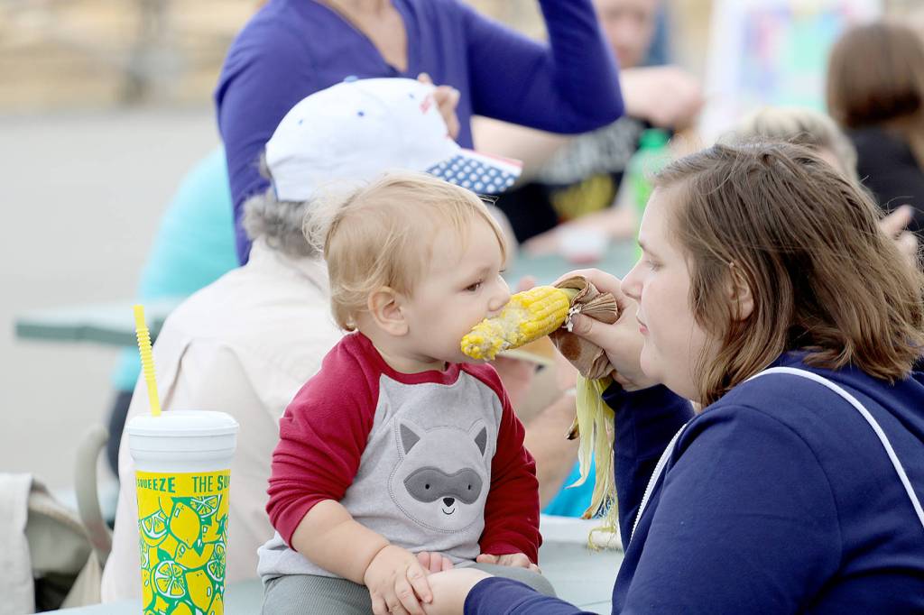 Fair sets an attendance record