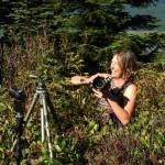 (Kat Bryant | The Daily World)                                Marcy Merrill wades into chest-high brush in a ballgown to get the shot she wants.