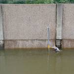 A woman struggles to wade through shoulder-deep water as she escapes from her Houston home on Sunday as Tropical Storm Harvey continues to cause major flooding throughout Southeast Texas. (Robert Gauthier/Los Angeles Times)