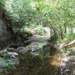 (Corey Morris | The Vidette) State Department of Transportation project engineer John Romero discusses natural features of the middle fork of Wildcat Creek.