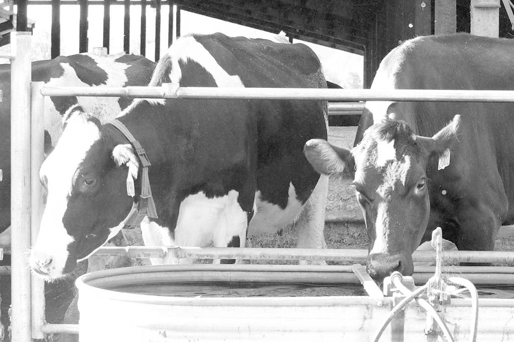 Annual Showcase Grays Harbor features agriculture